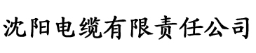 APP色电缆厂logo